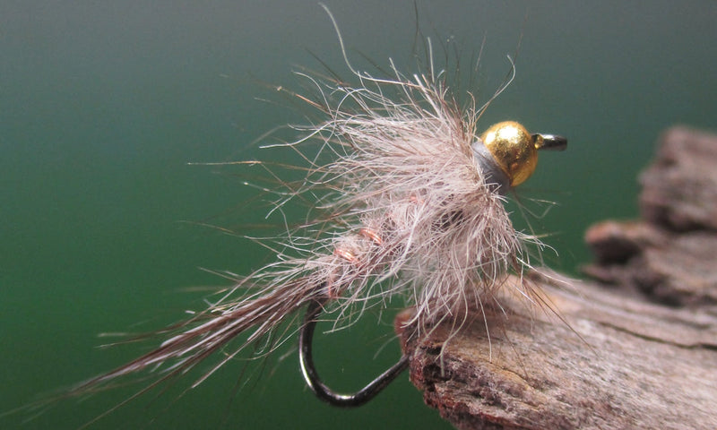 Gold Bead Possie Nymph - Fly of the Month