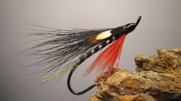 Black Demon fly pattern