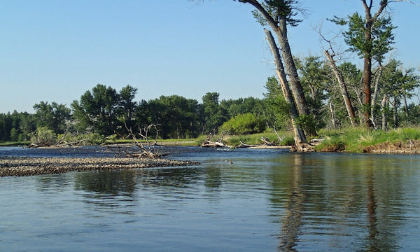 Day Trip - Lower Big Hole River