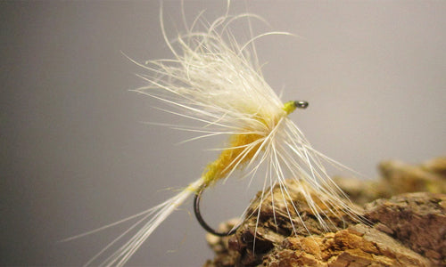 sulphur dun fly