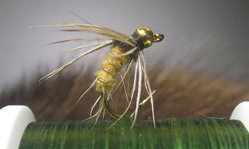 Bead Head Yellow Soft Hackle Caddis Pupa