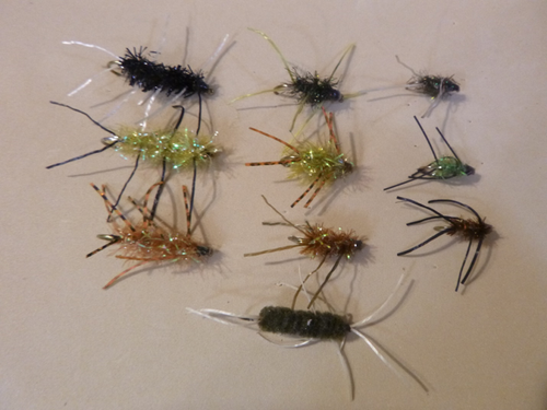 girdle bug flies