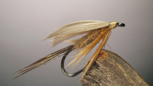 Fly of the Month - March Brown