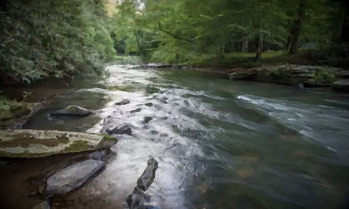 fly fishing stream