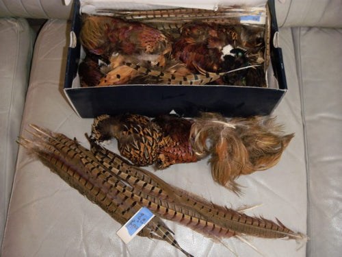 pheasant feathers