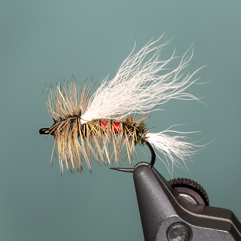 Royal Stimulator Fly Pattern | J. Stockard