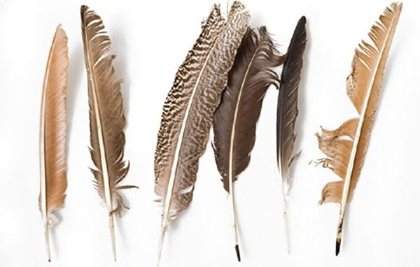 Wholesale Fly Tying Feathers for Fly Tying - China Fly Tying Feathers and  Fly Tying Material price