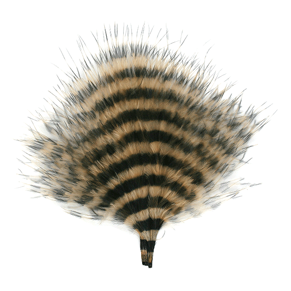 Barred Marabou