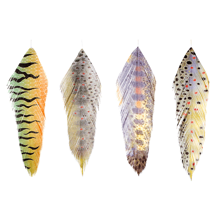 Galloup's Fish Feathers