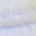 Lively Legs Crustacean Brush 1"