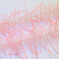 Lively Legs Crustacean Brush 1/2"