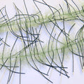 Lively Legs Crustacean Brush 1/2"