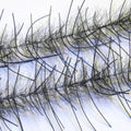 Lively Legs Crustacean Brush 1/2"