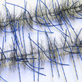 Lively Legs Crustacean Brush 1/2"