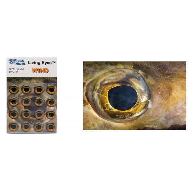 Fish Skull Living Eyes 3 mm / Earth
